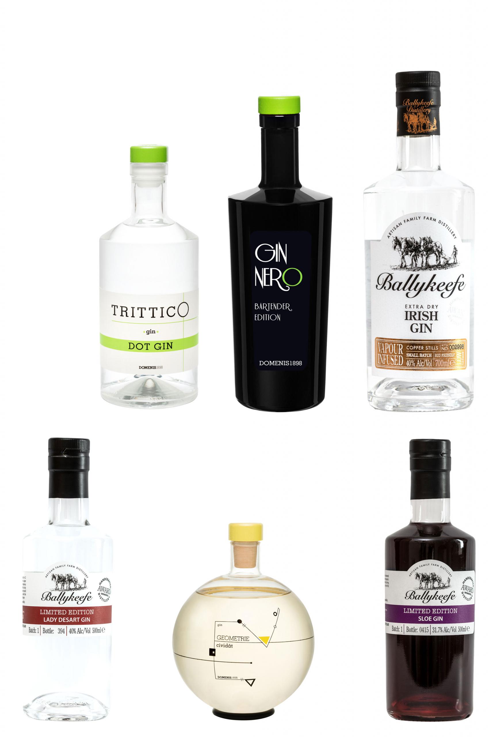 domenis1898-the-gin-collection-set-6-gin image 1
