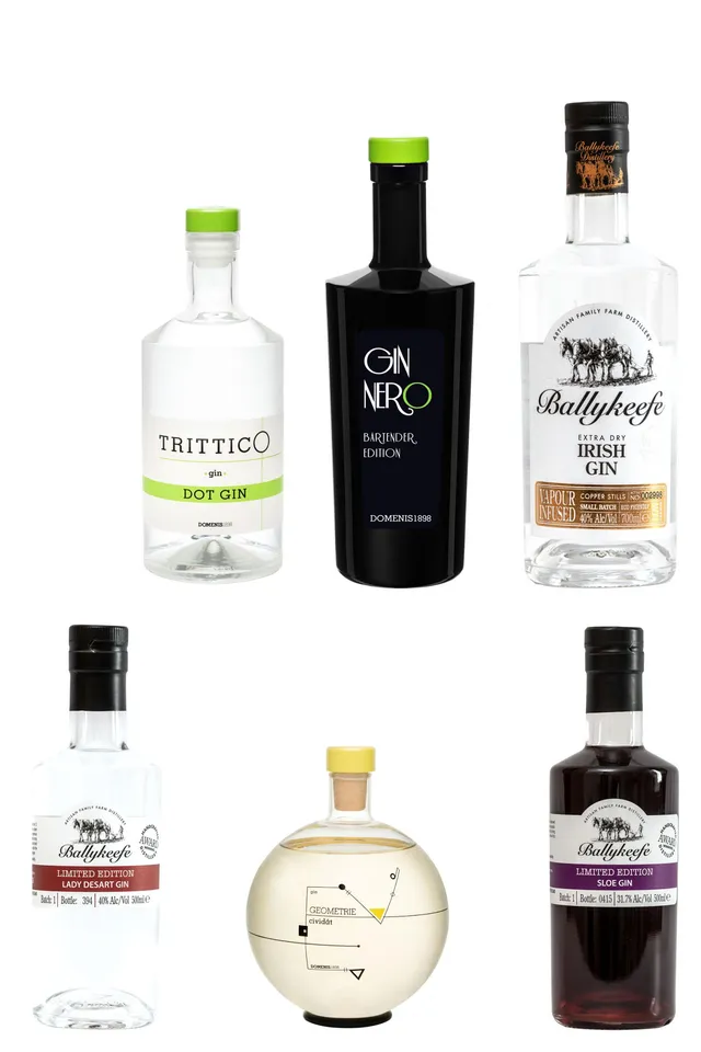 domenis1898-the-gin-collection-set-6-gin image 1