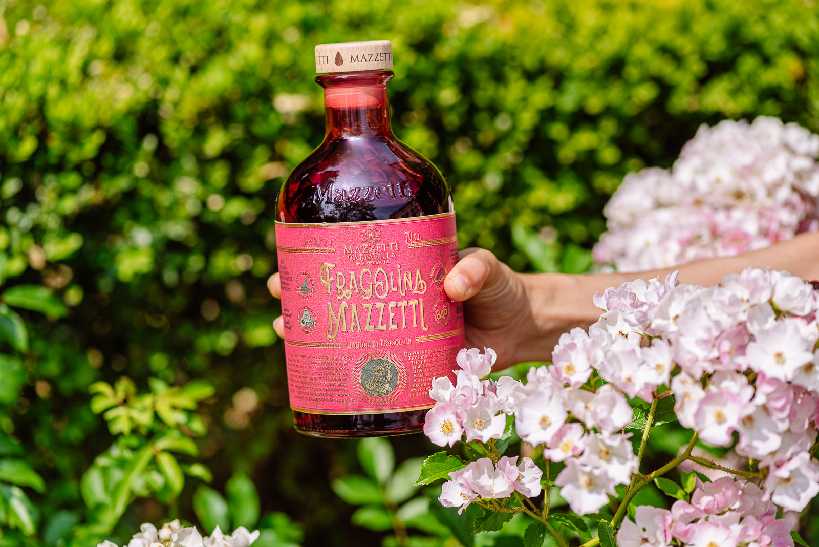 mazzetti-d-altavilla-fragolina-liquore-alle-fragoline-di-bosco image 3